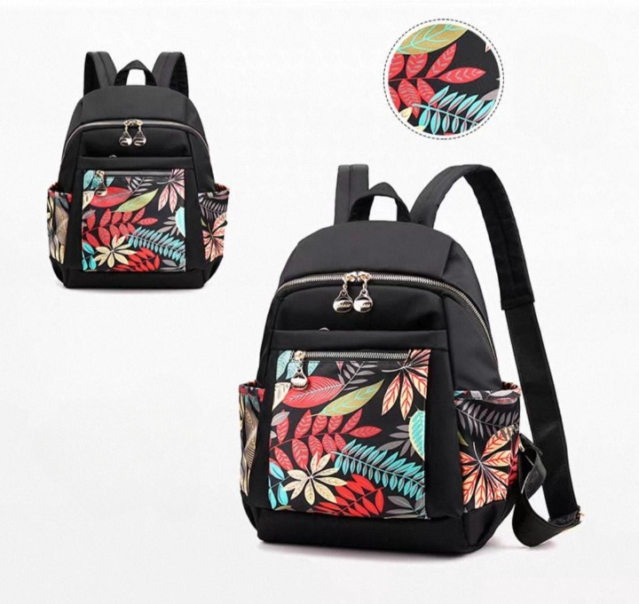 The Horizon  Printed Bag pack