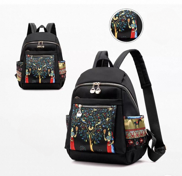 The Horizon  Printed Bag pack